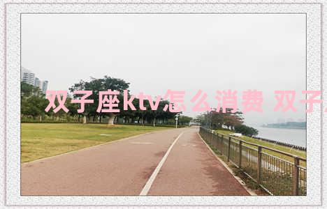 双子座ktv怎么消费 双子座 ktv